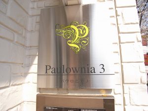 パウロニア3 (契約済み)