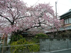 4月の定休日のお知らせ